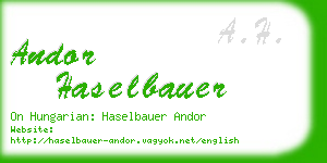 andor haselbauer business card